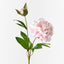 Peony Spray - Light Pink