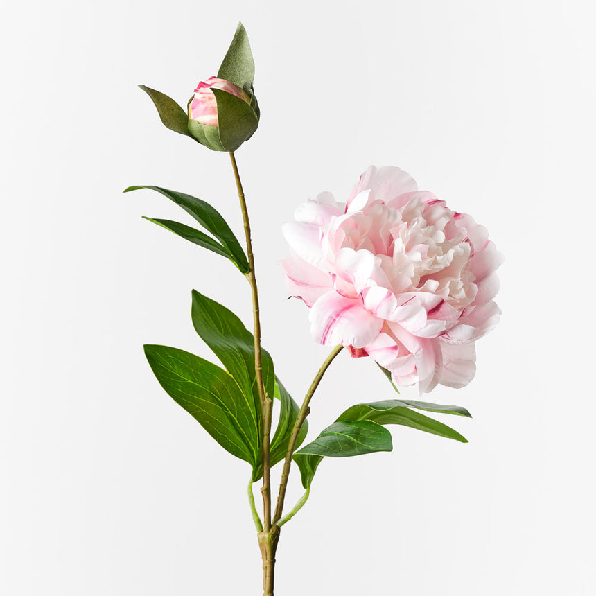 Peony Spray - Light Pink