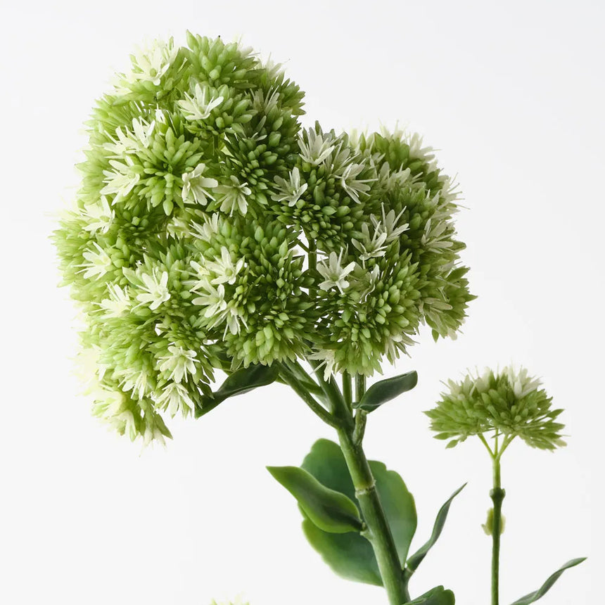 Sedum Flower Spray
