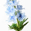 Delphinium - Light Blue