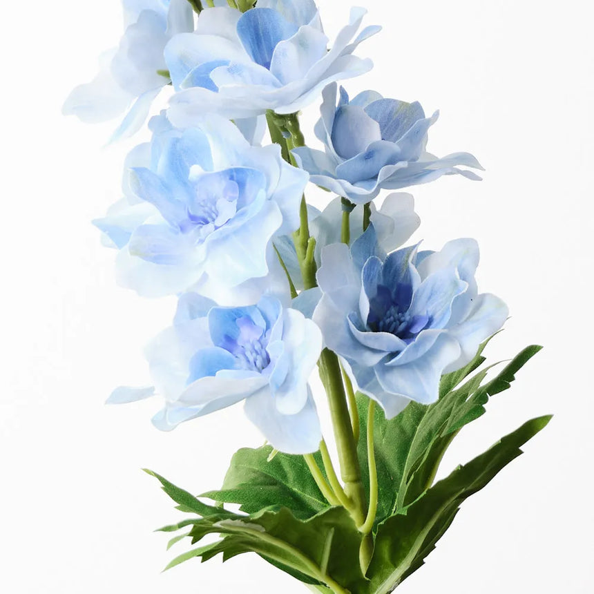 Delphinium - Light Blue