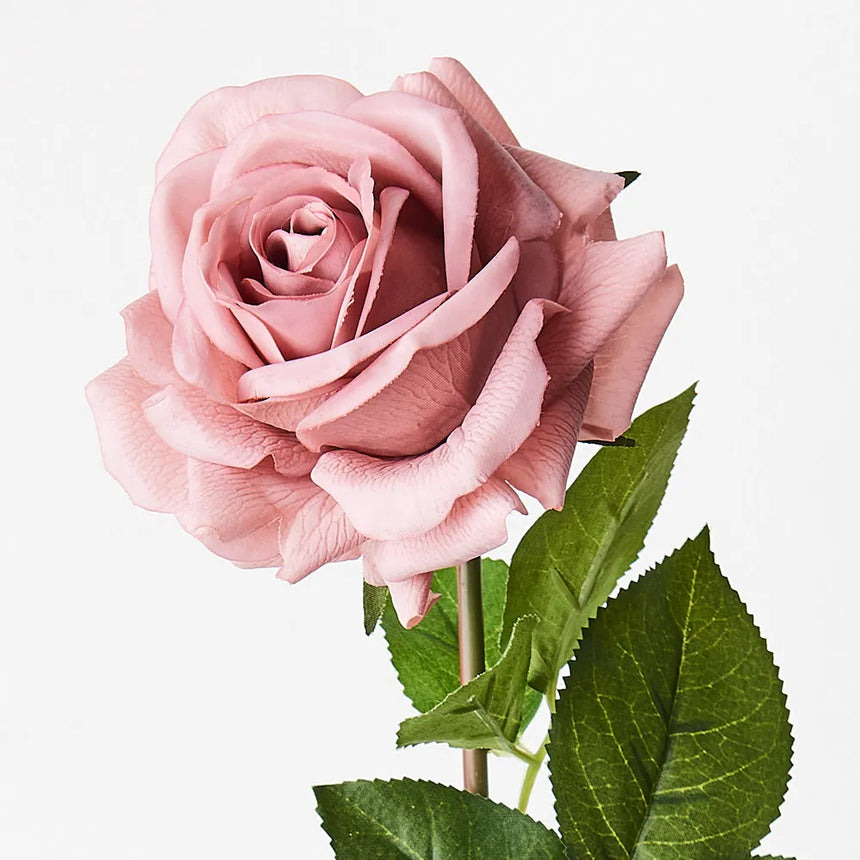 Hannah Rose - Dusty Pink