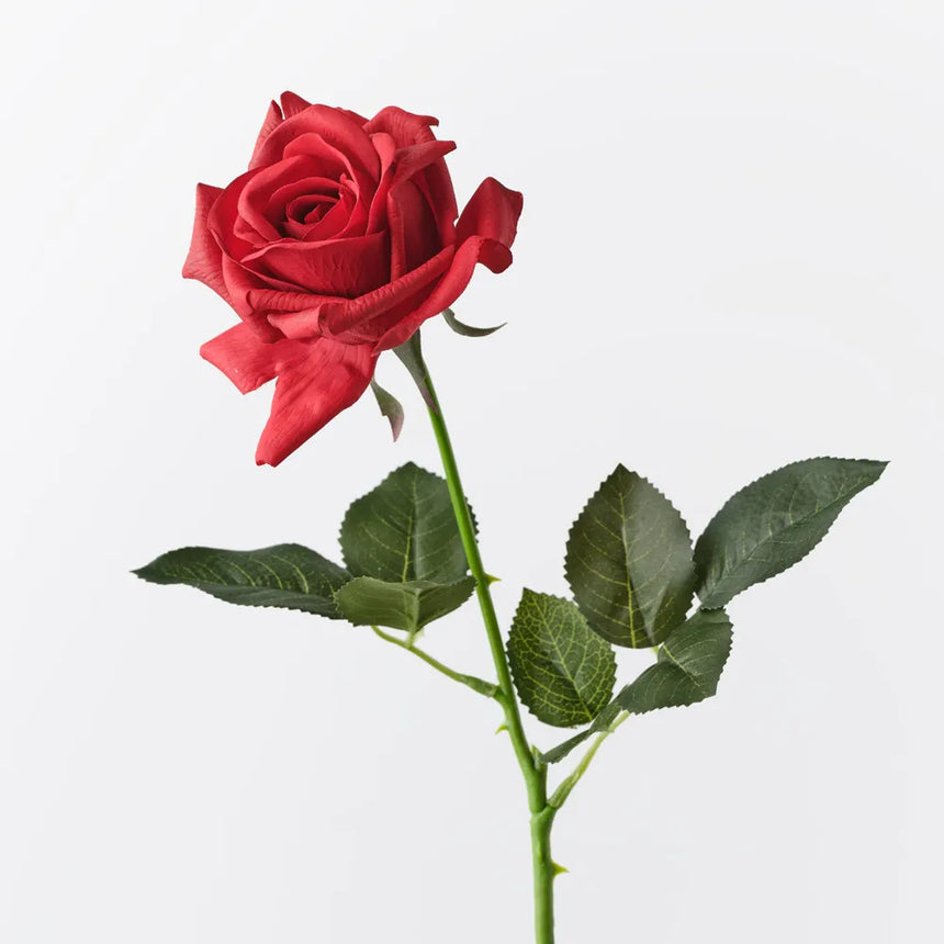 Kim Rose - Red