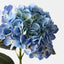 Hydrangea (Blue)