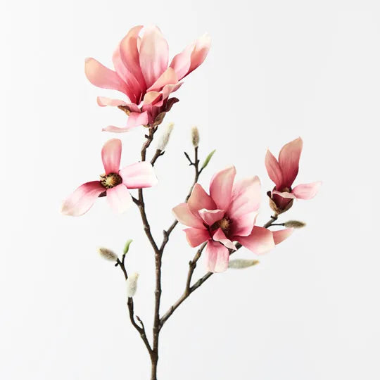 Magnolia Spray (Pink)