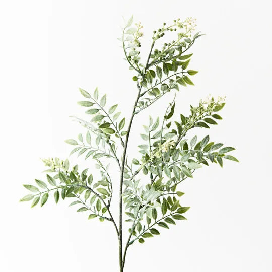 Wattle Leaf Spray - Cream