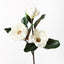 Magnolia Flower Spray