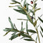 Olive Leaf Spray