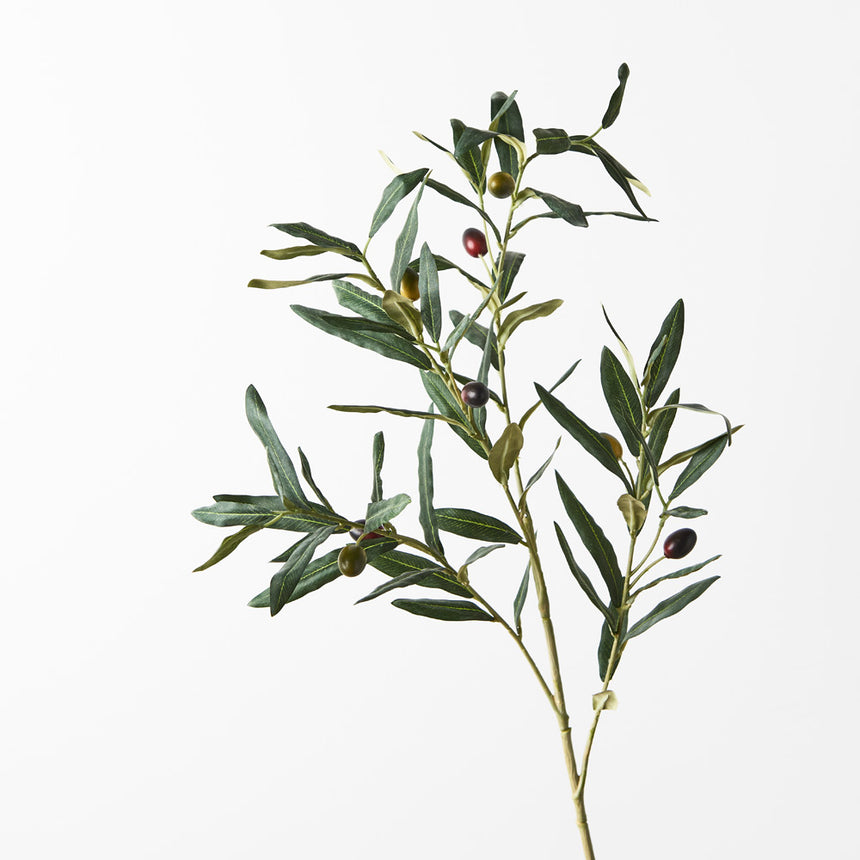 Olive Leaf Spray
