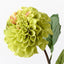 Dahlia Pompon - Green