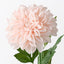 Dahlia - Soft Pink
