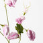 Sweet Pea - Mauve