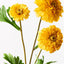 Marigold Spray - Yellow