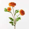 Marigold Spray - Burnt Orange