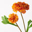 Marigold Spray - Burnt Orange