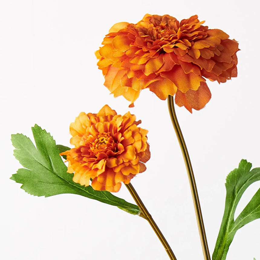 Marigold Spray - Burnt Orange
