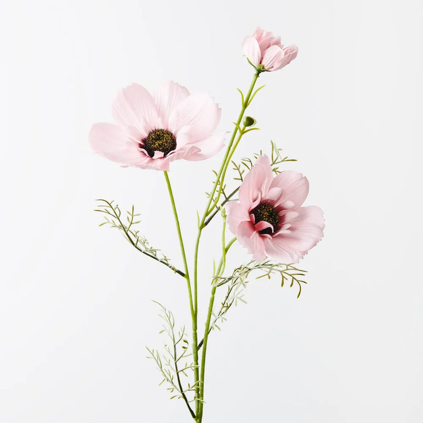 Coreopsis Spray - Light Pink