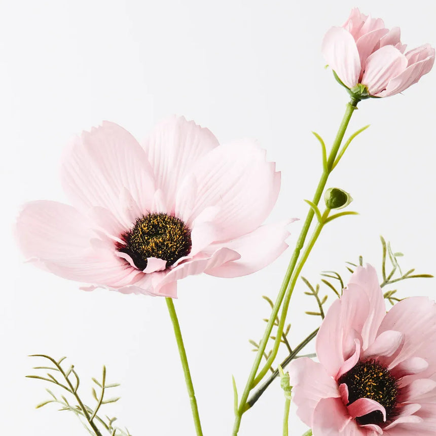 Coreopsis Spray - Light Pink