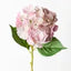 Hydrangea - Pink/Mauve