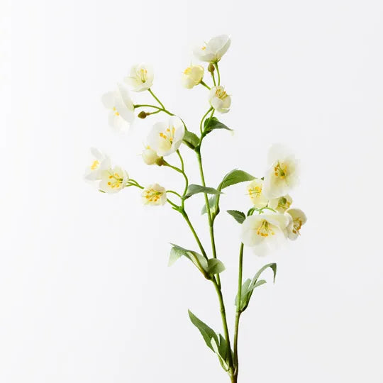 Hellebore Spray - White