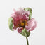 Poppy Bud