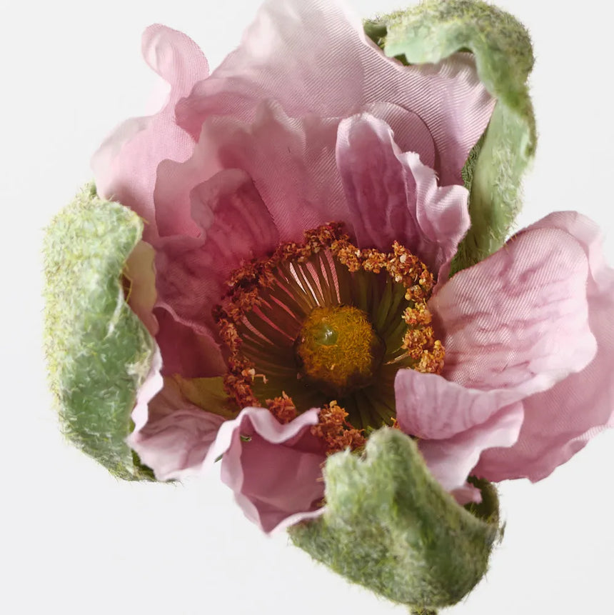 Poppy Bud