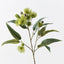 Eucalyptus Flowering Spray (Green)