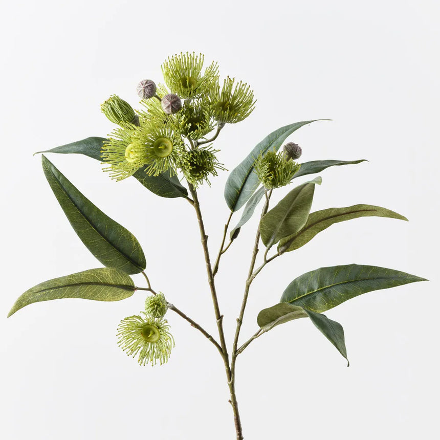 Eucalyptus Flowering Spray (Green)