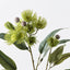 Eucalyptus Flowering Spray (Green)