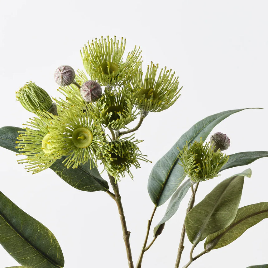 Eucalyptus Flowering Spray (Green)