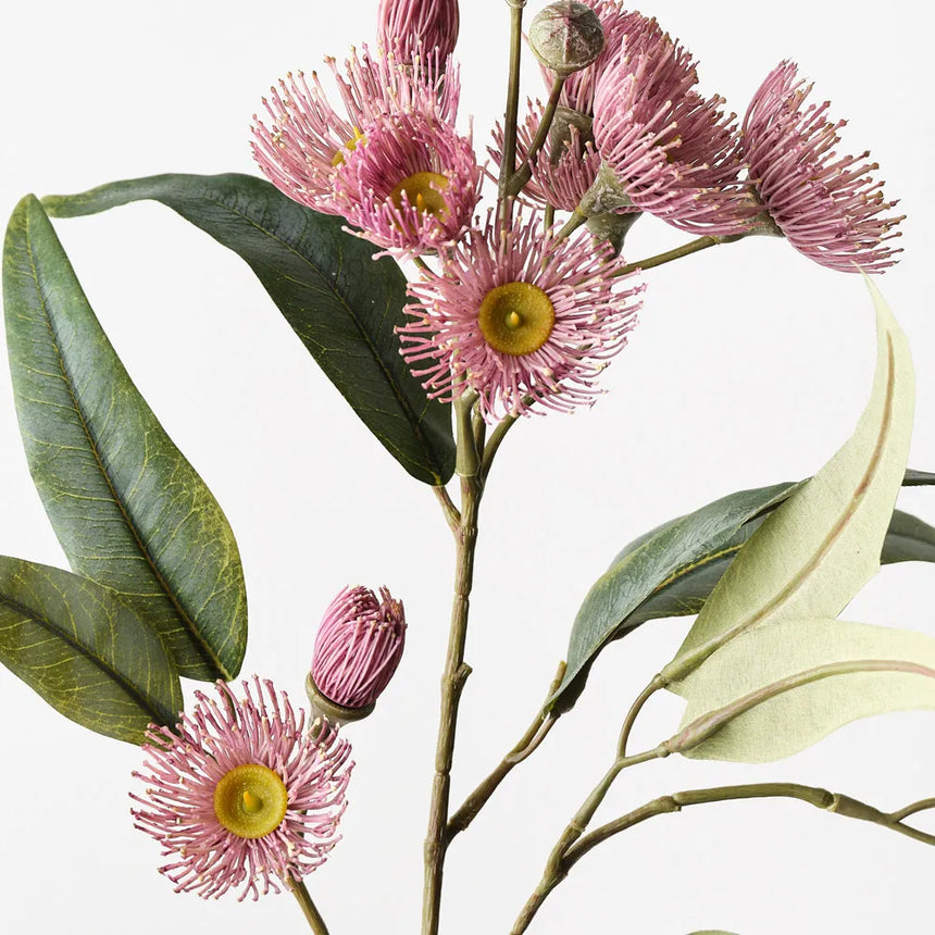 Eucalyptus Flowering Spray (Pink)
