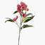 Eucalyptus Flowering Spray (Pink)