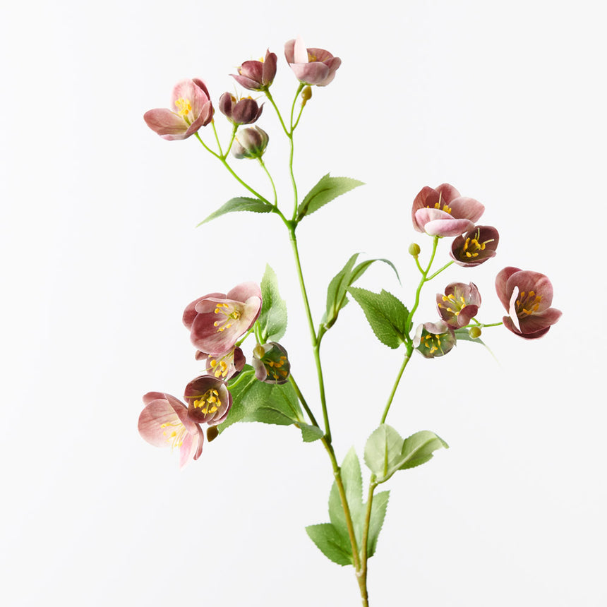 Hellebore Spray - Eggplant