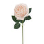 Bella Rose (Soft Pink)