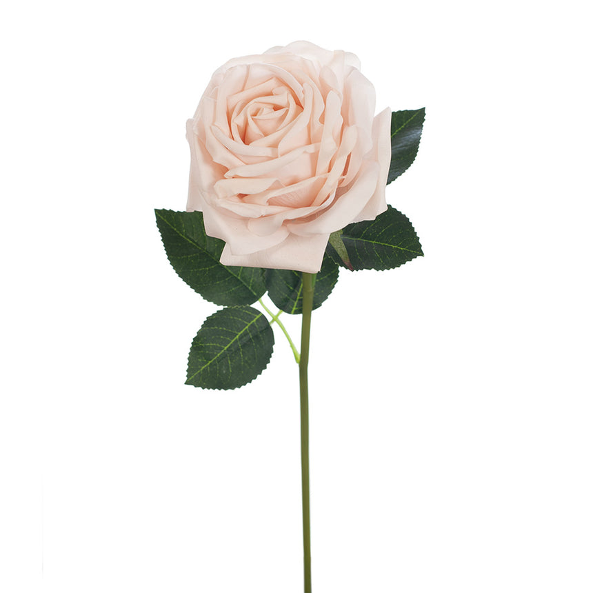 Bella Rose (Soft Pink)