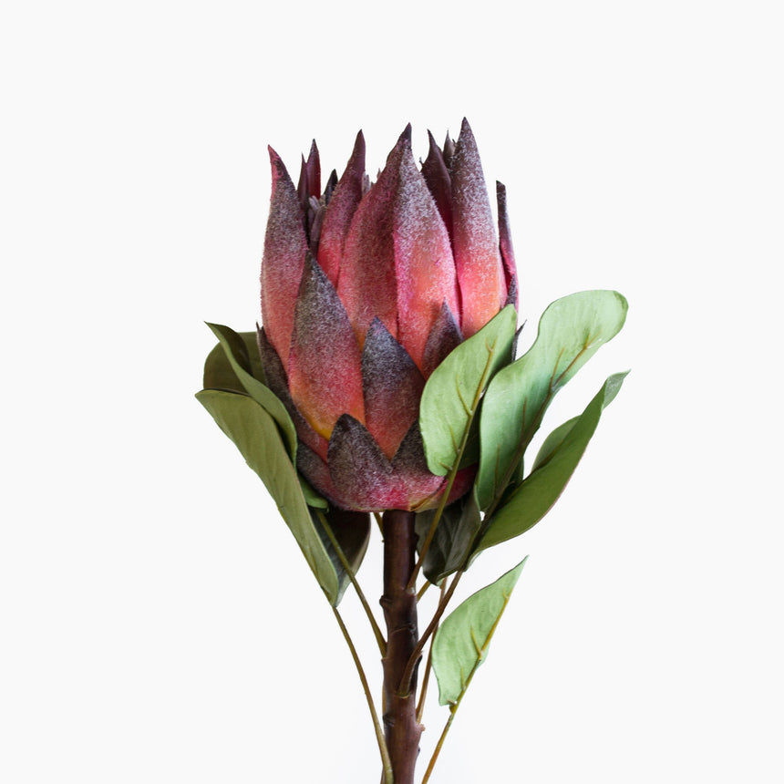Gorgeous and realistic artificial burgundy coloured king protea