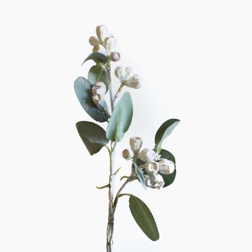 Artificial white and green eucalytpus tetragona