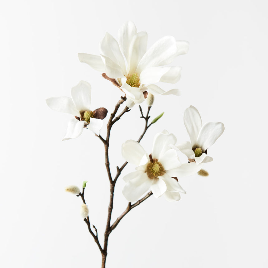 Magnolia Spray (White)