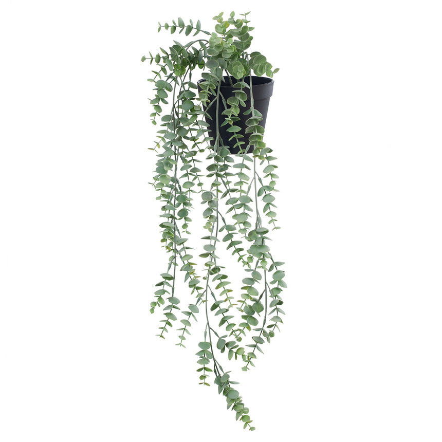 Eucalyptus Hanging Pot (Grey/Green)