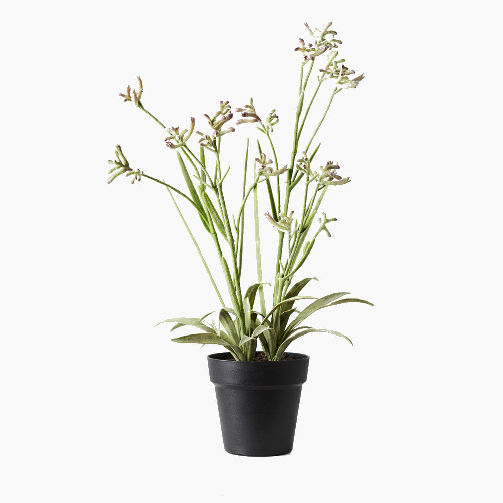 LifeLike Artificial Plants Seaholly Flowers