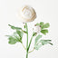 Ranunculus Spray (White)